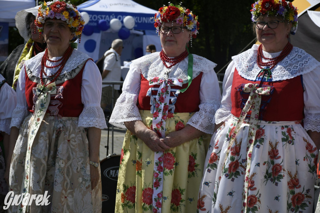 Dni Piekar Śląskich w obiektywie