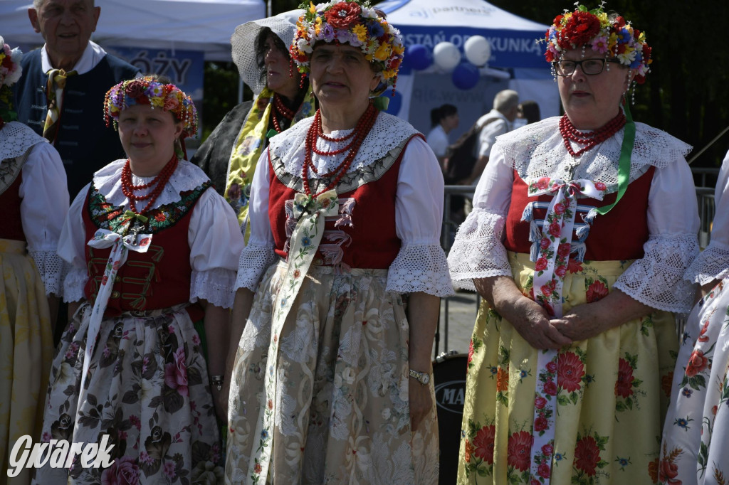 Dni Piekar Śląskich w obiektywie