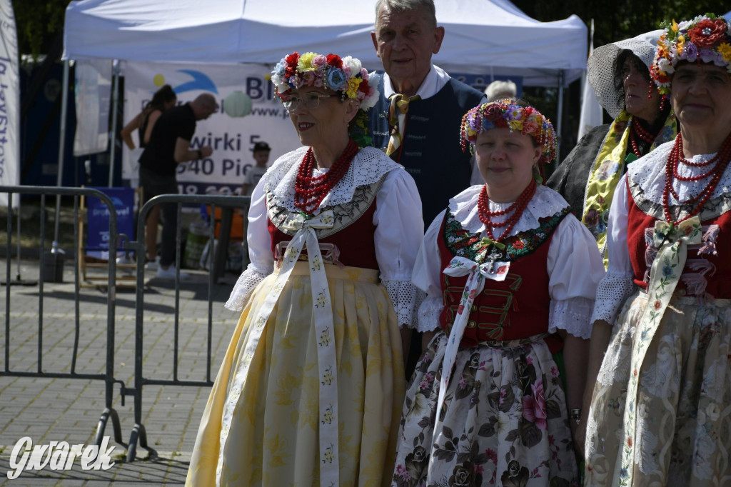 Dni Piekar Śląskich w obiektywie