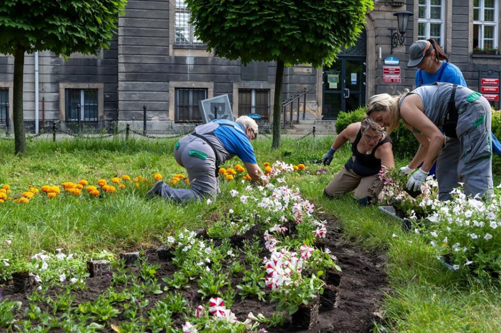 Tarnowskie Góry i Bytom w letniej oprawie [GALERIA]