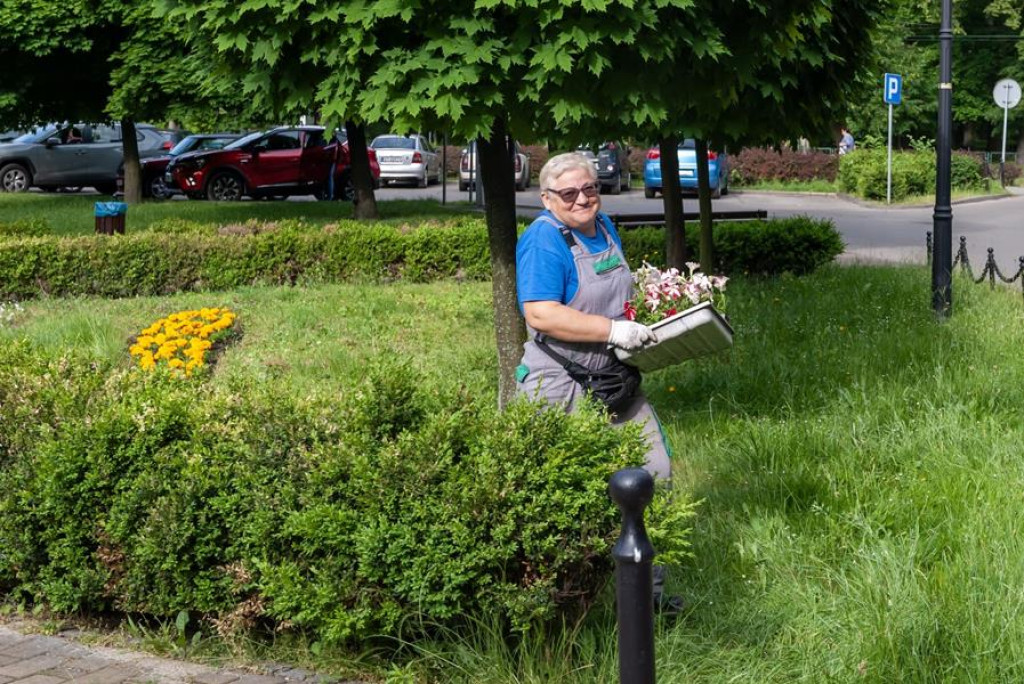 Tarnowskie Góry i Bytom w letniej oprawie [GALERIA]