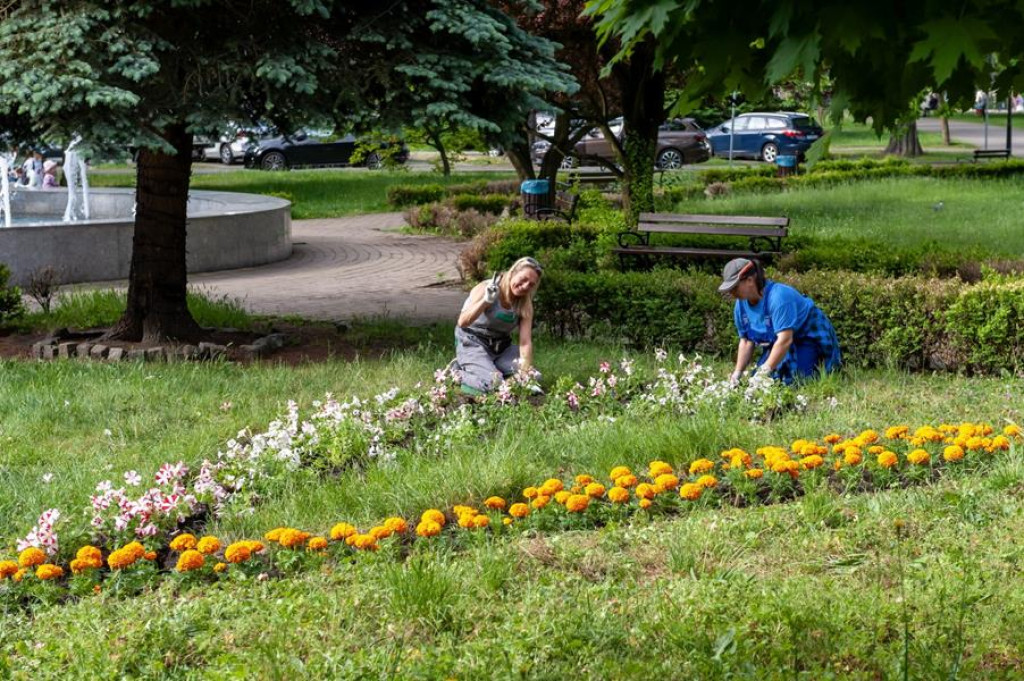 Tarnowskie Góry i Bytom w letniej oprawie [GALERIA]