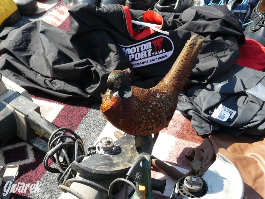 Tarnowskie Góry. Byliście na pchlim targu?