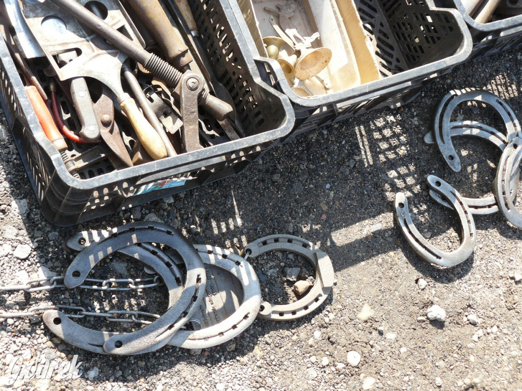 Tarnowskie Góry. Byliście na pchlim targu?