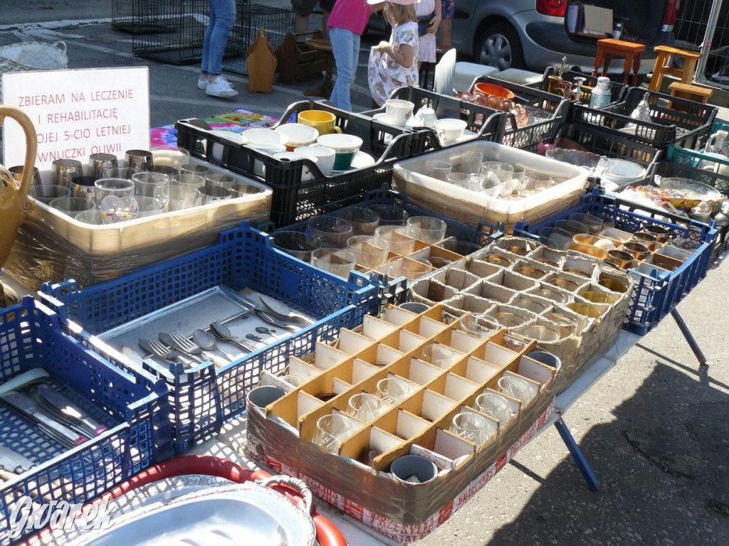 Tarnowskie Góry. Byliście na pchlim targu?