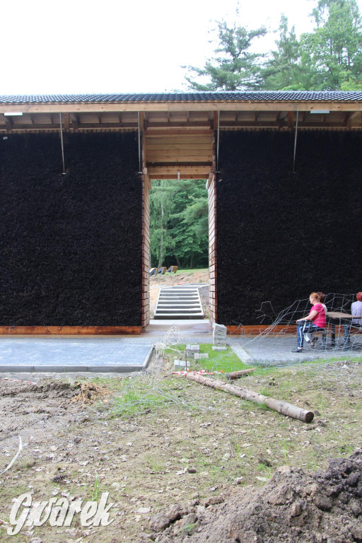 Tarnowskie Góry. Co powstaje przy tężni?