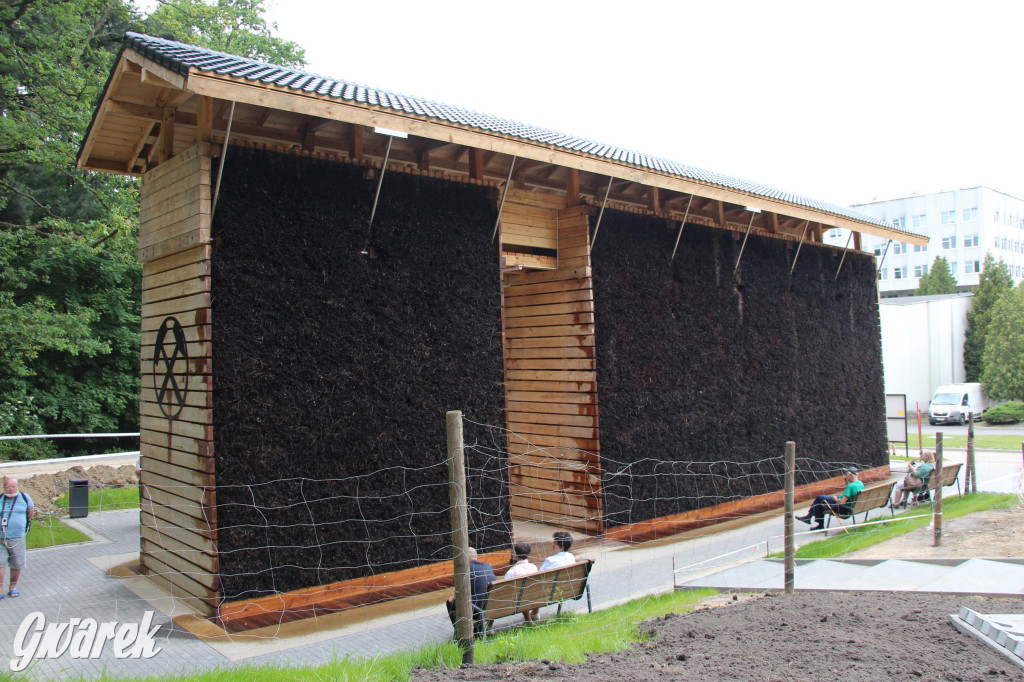 Tarnowskie Góry. Co powstaje przy tężni?