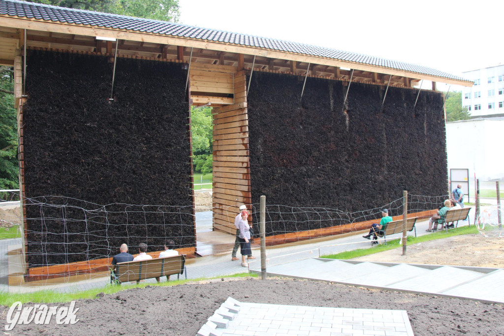 Tarnowskie Góry. Co powstaje przy tężni?