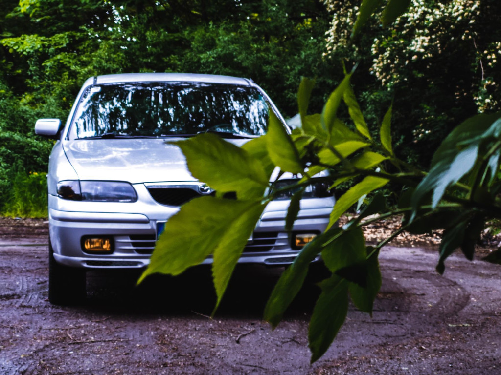 Wioletta Cebulska: Motoryzacja to moje życie