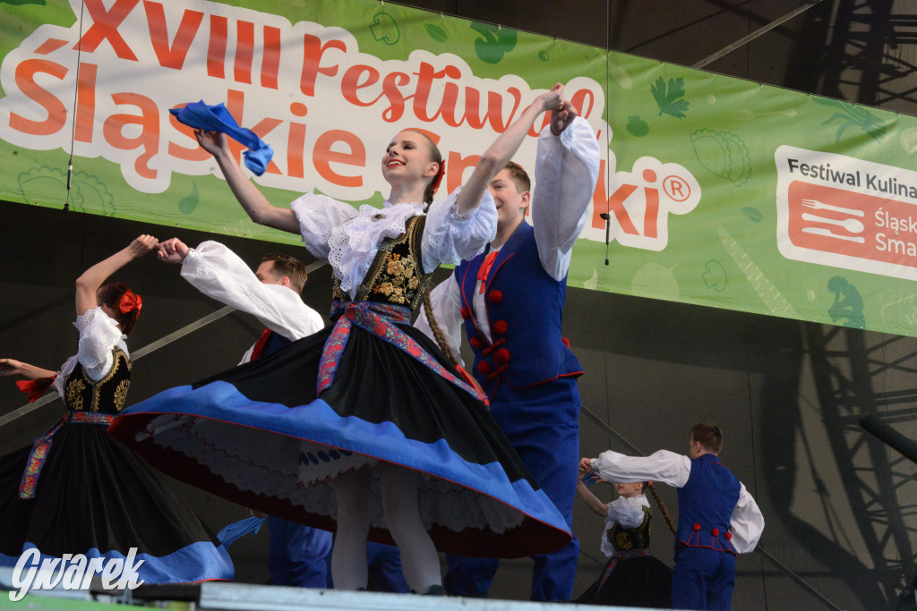 Tarnowskie Góry. Śląskie Smaki i zespół Śląsk