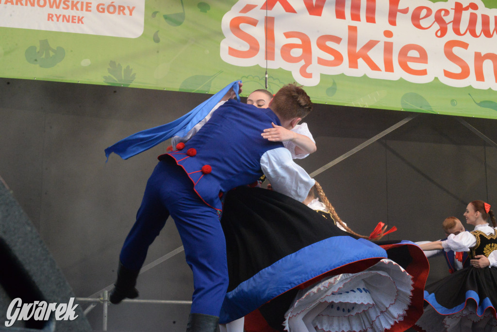 Tarnowskie Góry. Śląskie Smaki i zespół Śląsk