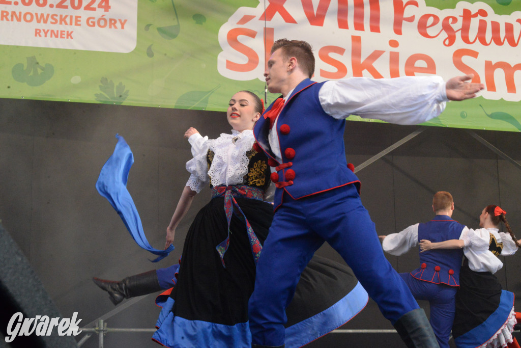 Tarnowskie Góry. Śląskie Smaki i zespół Śląsk