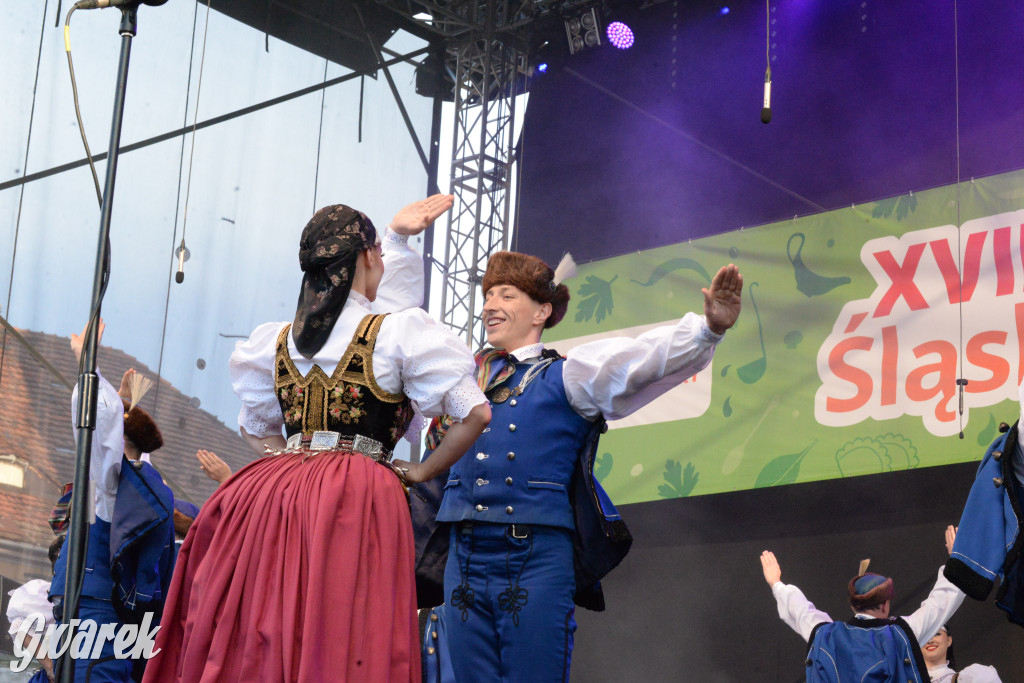 Tarnowskie Góry. Śląskie Smaki i zespół Śląsk