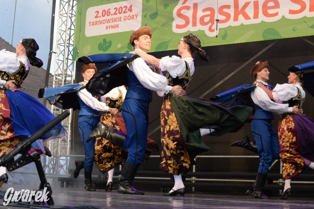 Tarnowskie Góry. Śląskie Smaki i zespół Śląsk