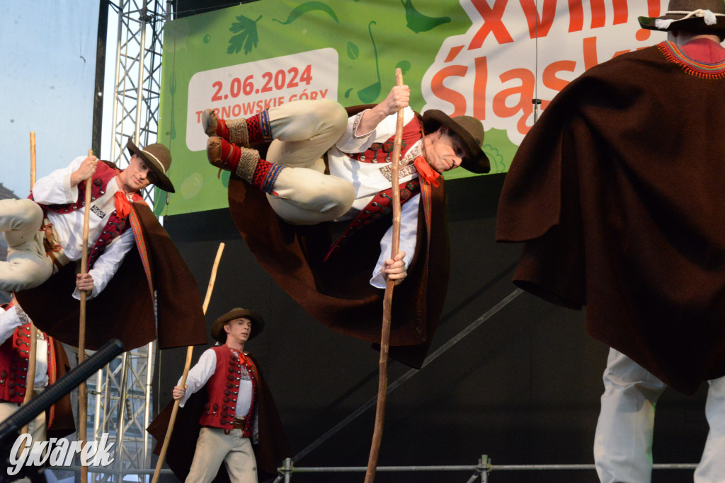 Tarnowskie Góry. Śląskie Smaki i zespół Śląsk