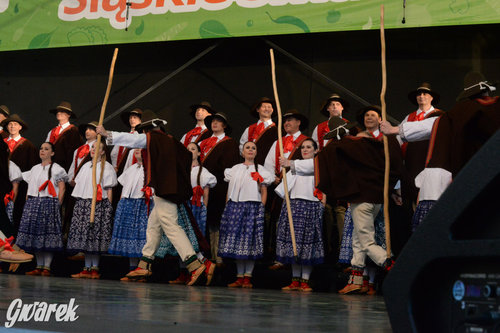 Tarnowskie Góry. Śląskie Smaki i zespół Śląsk