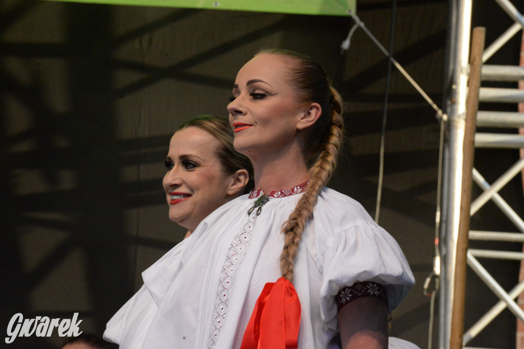 Tarnowskie Góry. Śląskie Smaki i zespół Śląsk