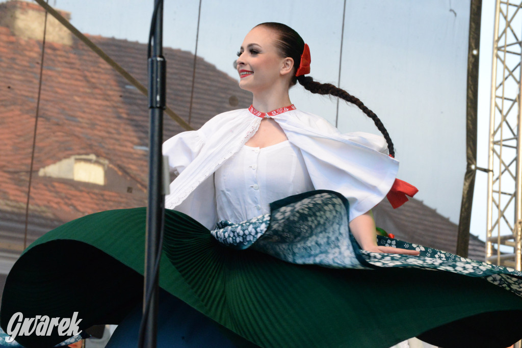 Tarnowskie Góry. Śląskie Smaki i zespół Śląsk