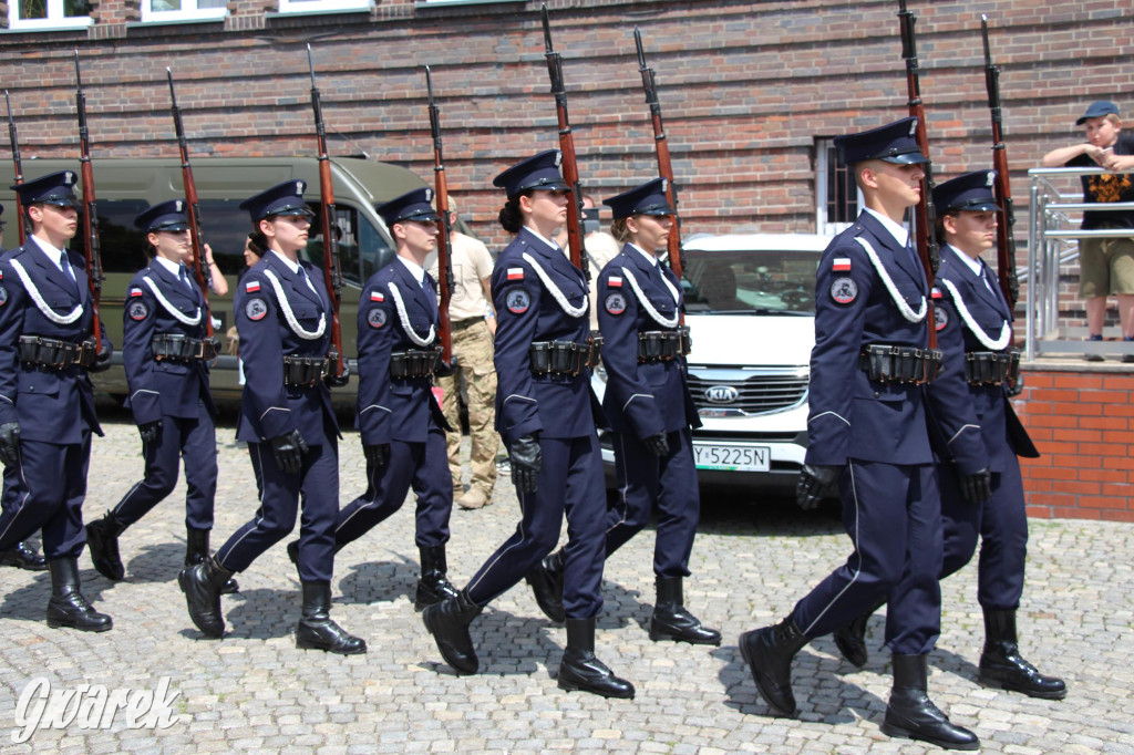 Śląskie Manewry. Parada wojskowych maszyn [GALERIA]