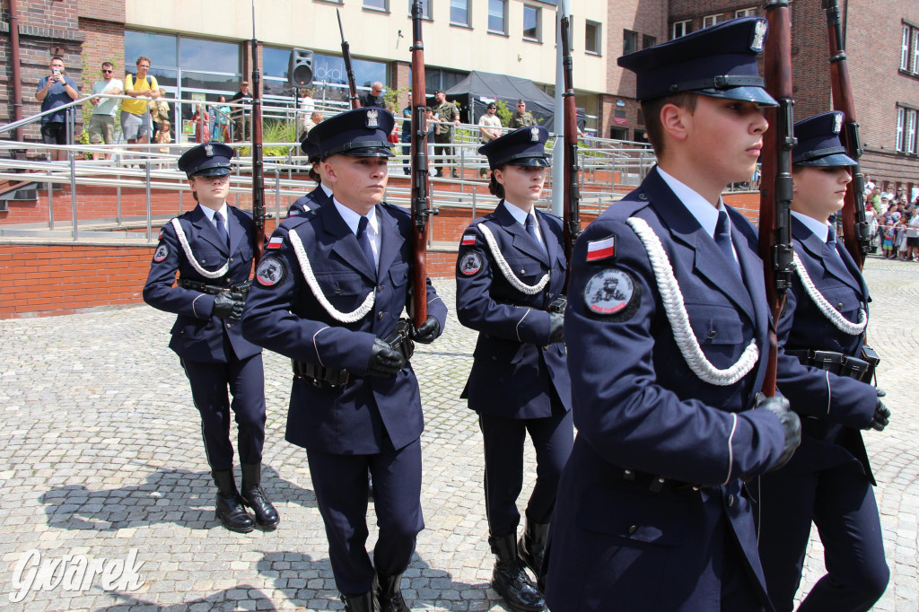 Śląskie Manewry. Parada wojskowych maszyn [GALERIA]