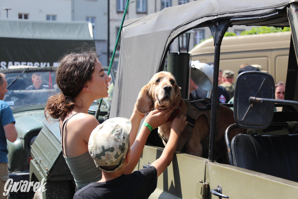 Śląskie Manewry. Parada wojskowych maszyn [GALERIA]