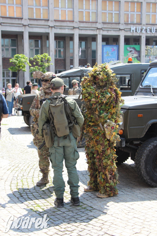 Śląskie Manewry. Parada wojskowych maszyn [GALERIA]