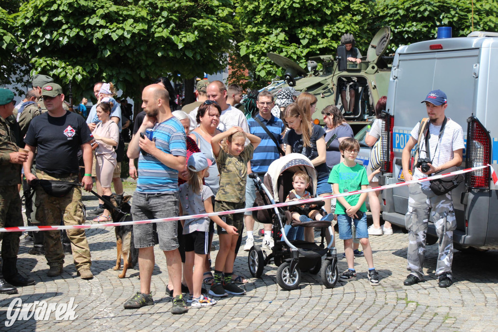 Śląskie Manewry. Parada wojskowych maszyn [GALERIA]