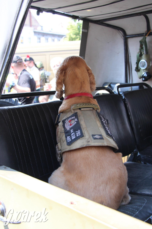 Śląskie Manewry. Parada wojskowych maszyn [GALERIA]