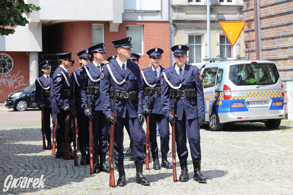 Śląskie Manewry. Parada wojskowych maszyn [GALERIA]