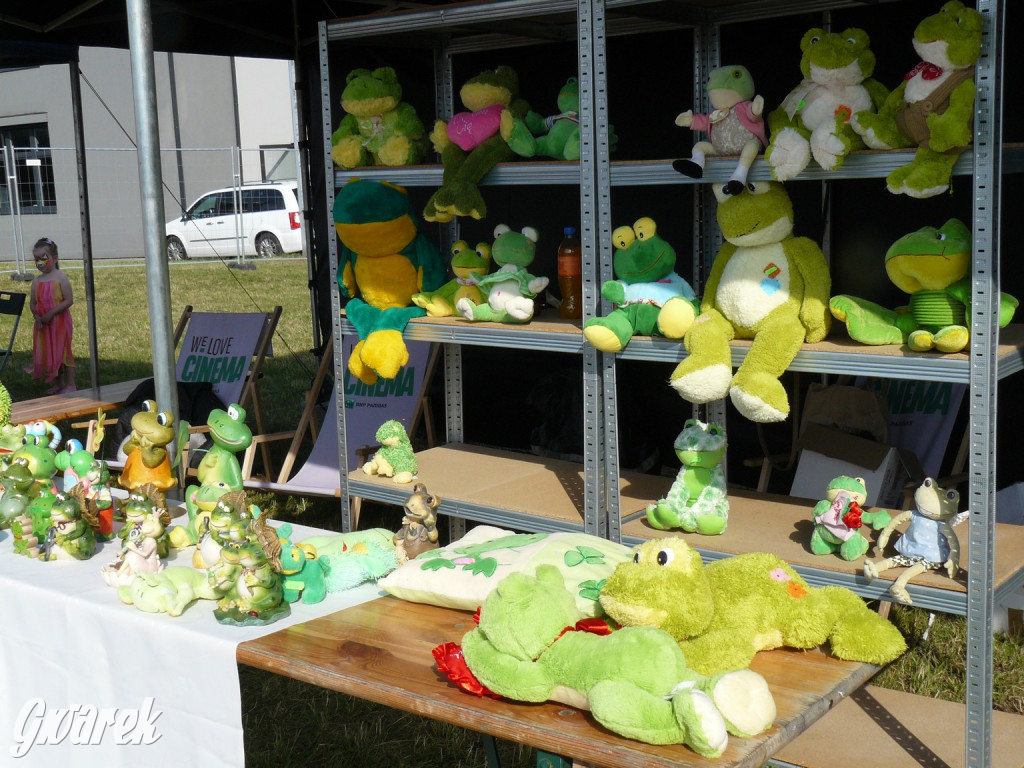 Radzionków. Rozpoczęły się dni miasta [ZDJĘCIA]