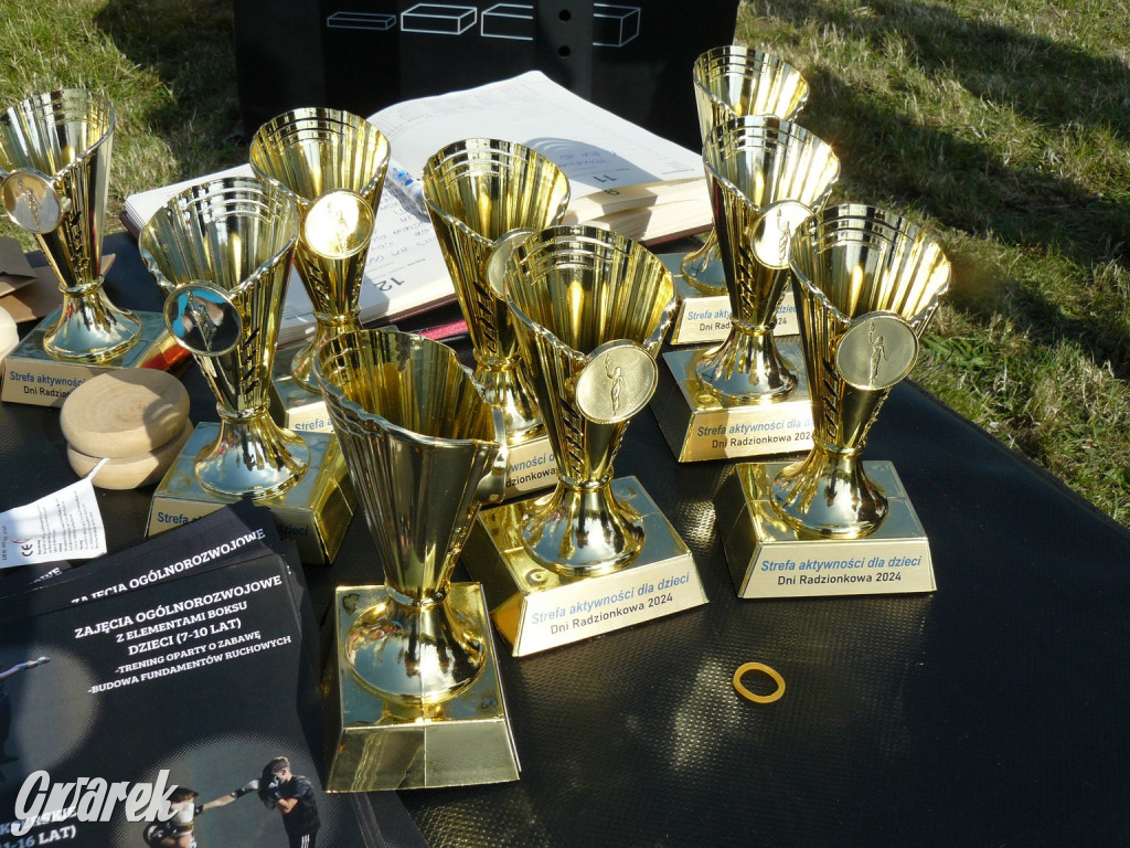 Radzionków. Rozpoczęły się dni miasta [ZDJĘCIA]