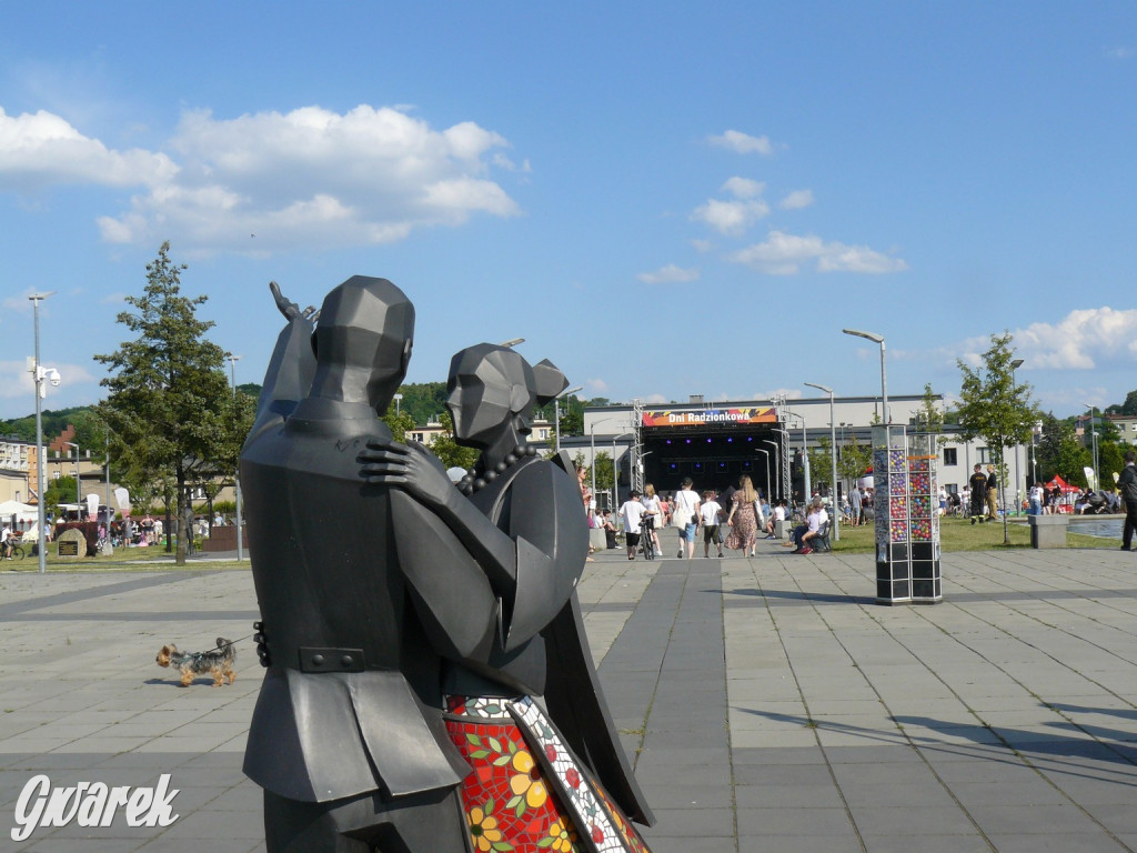 Radzionków. Rozpoczęły się dni miasta [ZDJĘCIA]