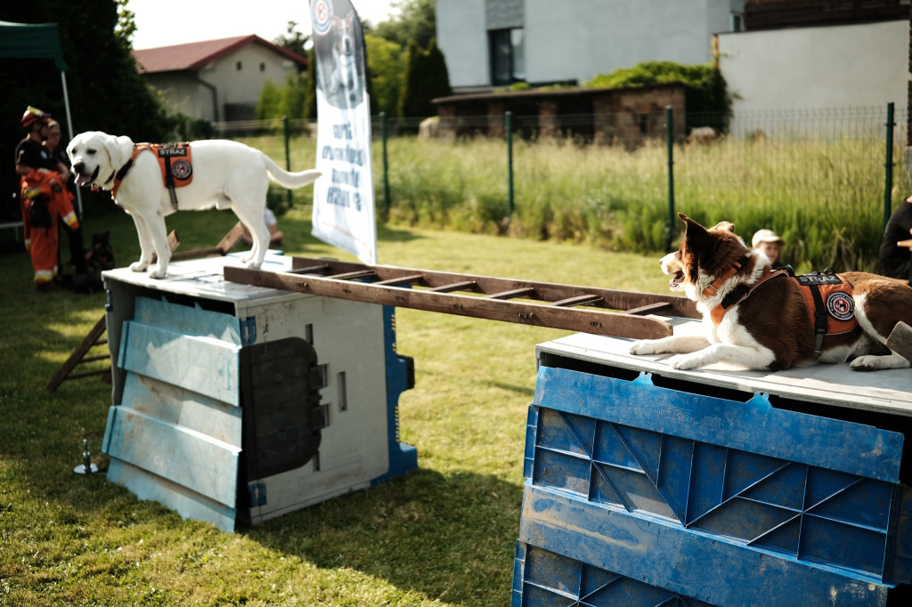 Najstarsza w gminie Świerklaniec. OSP Orzech ma 125 lat