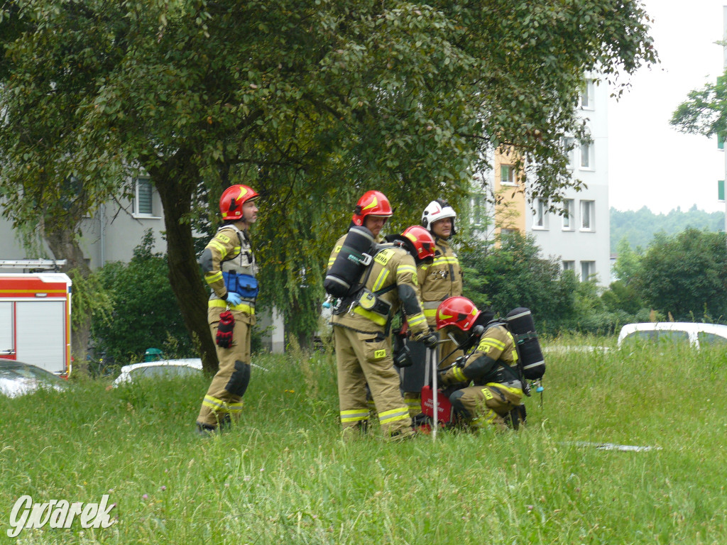 Nieuwaga mieszkanki osiedla i akcja strażaków [FOTO]