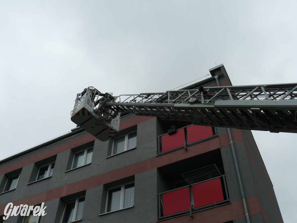 Nieuwaga mieszkanki osiedla i akcja strażaków [FOTO]