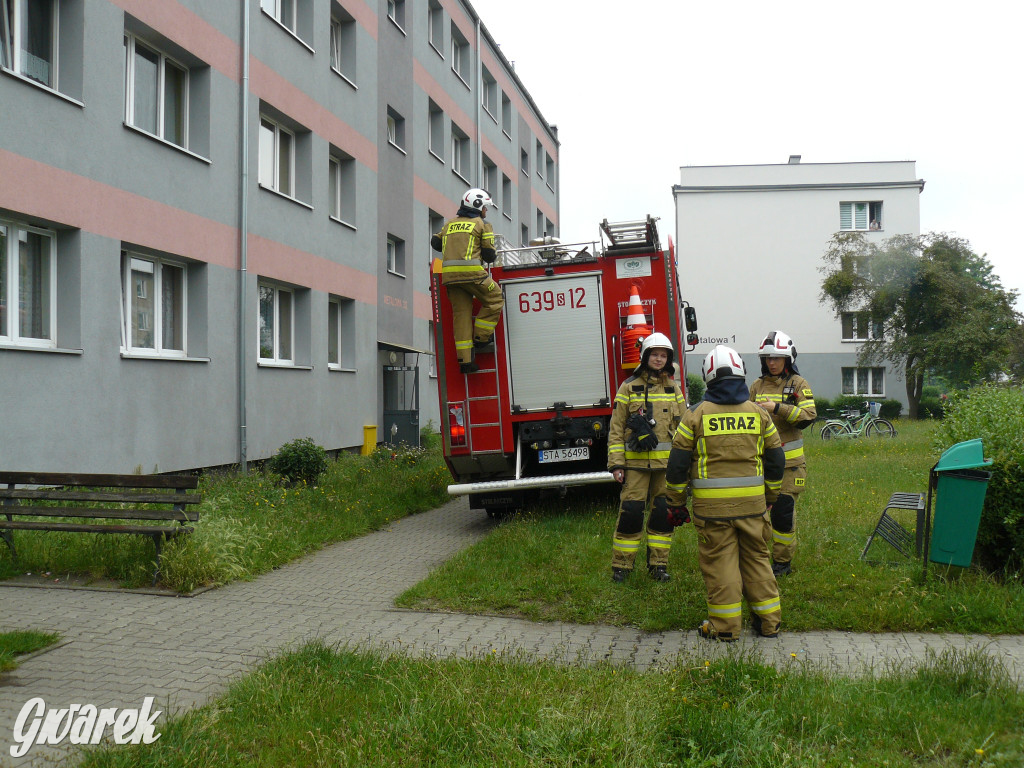 Nieuwaga mieszkanki osiedla i akcja strażaków [FOTO]