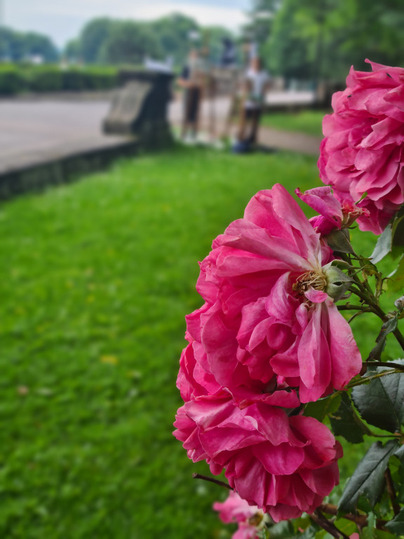 Kobiety - malarki i nasi zdolni uczniowie