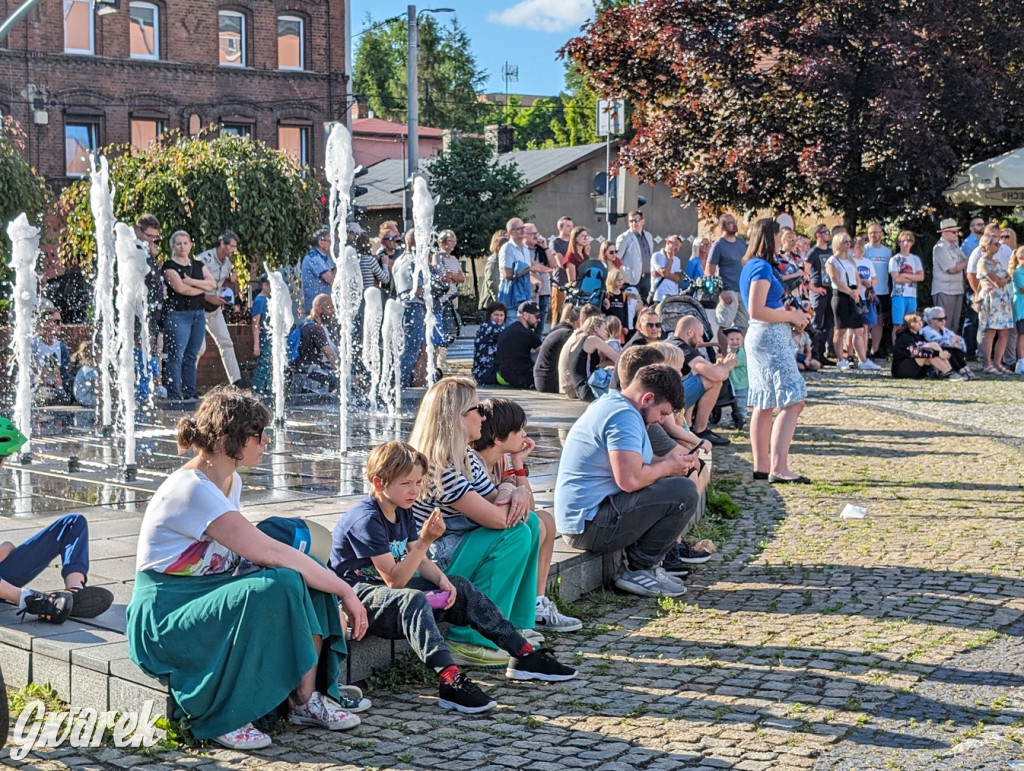 Inscenizacja Radzionkowskiej Drużyny Piechoty Zmechanizowanej