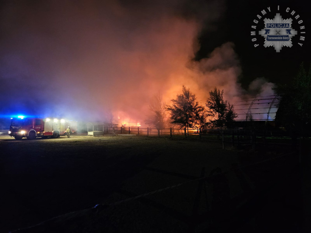 Powiat tarnogórski. Pożar w ośrodku jeździeckim