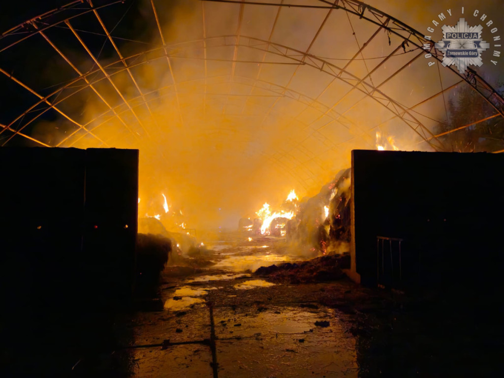 Powiat tarnogórski. Pożar w ośrodku jeździeckim