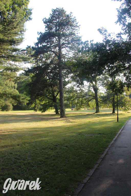 Park w Świerklańcu. Miejsce w sam raz na upały [FOTO]