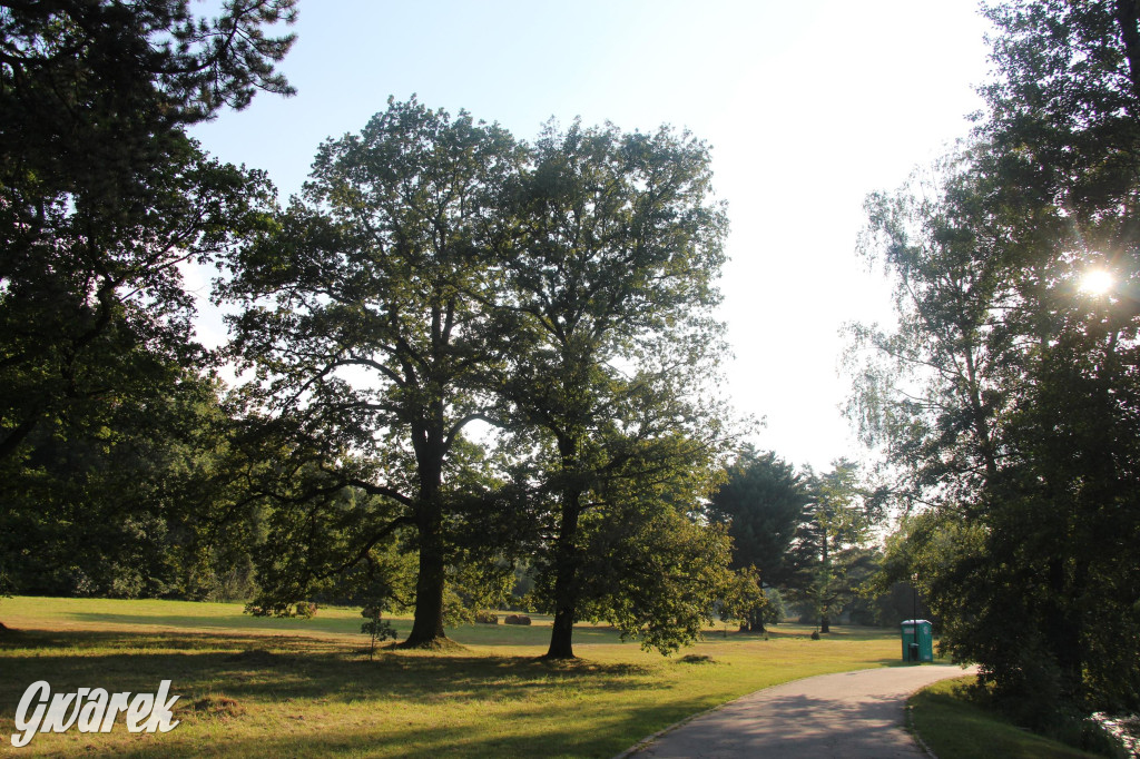 Park w Świerklańcu. Miejsce w sam raz na upały [FOTO]