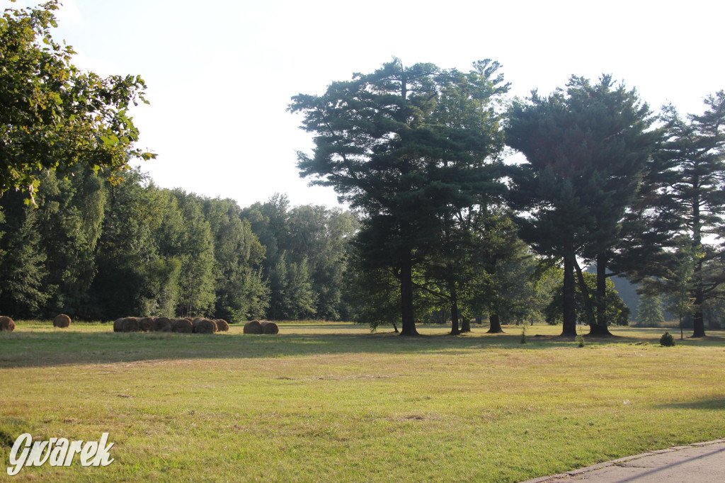 Park w Świerklańcu. Miejsce w sam raz na upały [FOTO]