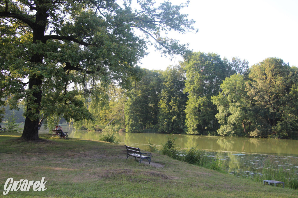 Park w Świerklańcu. Miejsce w sam raz na upały [FOTO]