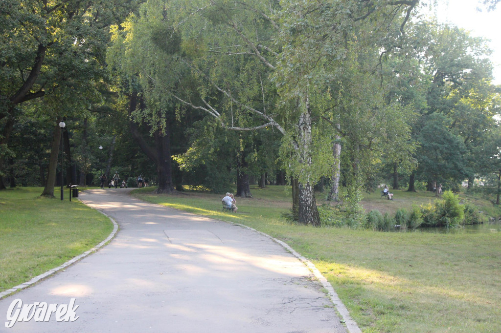 Park w Świerklańcu. Miejsce w sam raz na upały [FOTO]