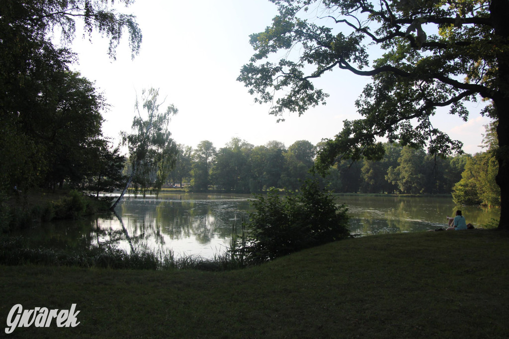 Park w Świerklańcu. Miejsce w sam raz na upały [FOTO]