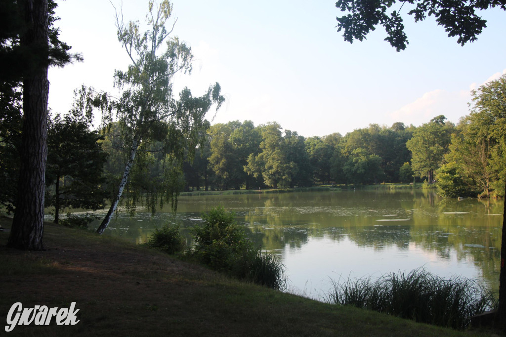 Park w Świerklańcu. Miejsce w sam raz na upały [FOTO]