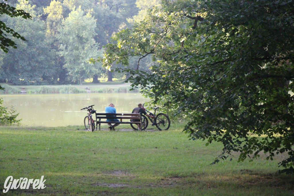 Park w Świerklańcu. Miejsce w sam raz na upały [FOTO]