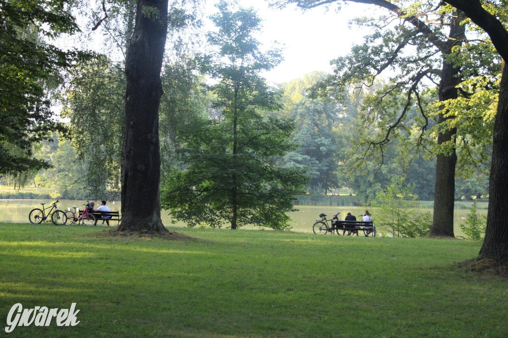 Park w Świerklańcu. Miejsce w sam raz na upały [FOTO]