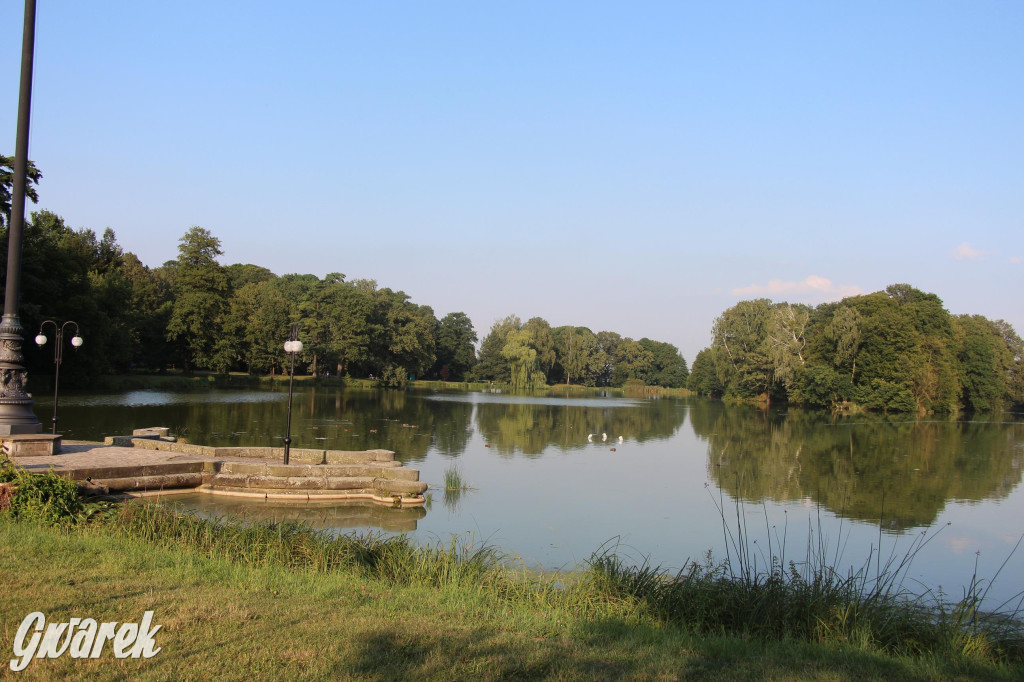 Park w Świerklańcu. Miejsce w sam raz na upały [FOTO]